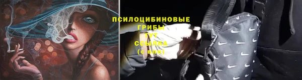 Альфа ПВП Армянск