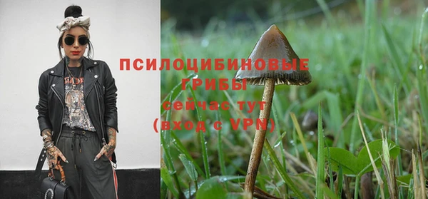 Альфа ПВП Армянск