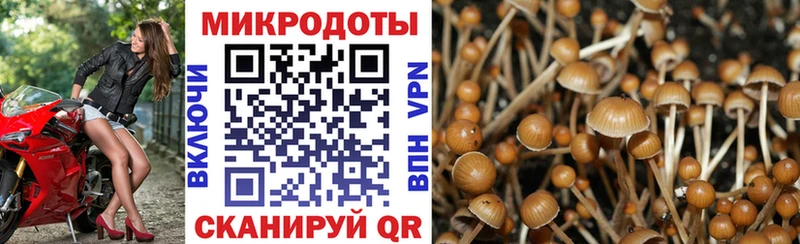 Псилоцибиновые грибы GOLDEN TEACHER  Купить закладки  Жирновск 